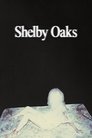 Shelby Oaks (2024)