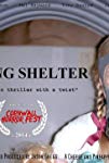 Taking Shelter (2011) poster