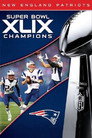 Super Bowl XLIX (2015)